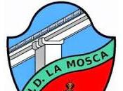 mosca olímpica victoriana