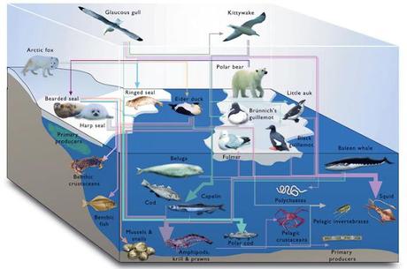 Introducción a los ecosistemas acuáticos