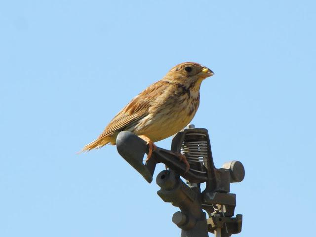 PASEANDO POR LAS BARDENAS REALES DE NAVARRA