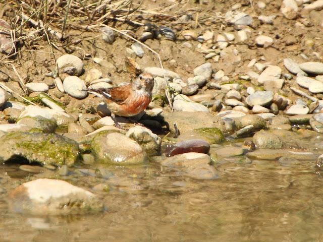 PASEANDO POR LAS BARDENAS REALES DE NAVARRA