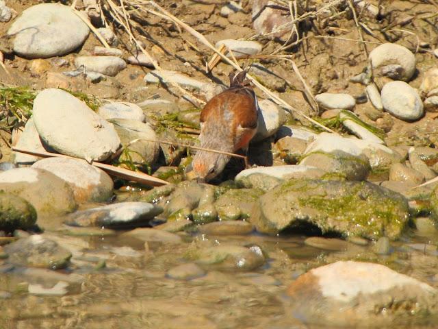 PASEANDO POR LAS BARDENAS REALES DE NAVARRA