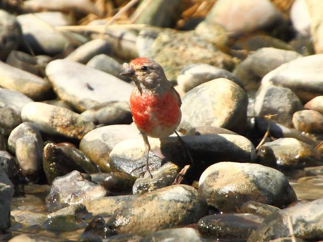 PASEANDO POR LAS BARDENAS REALES DE NAVARRA