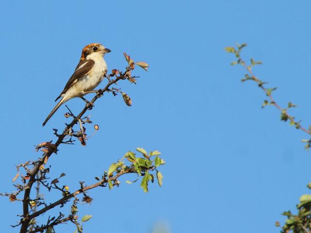 PASEANDO POR LAS BARDENAS REALES DE NAVARRA