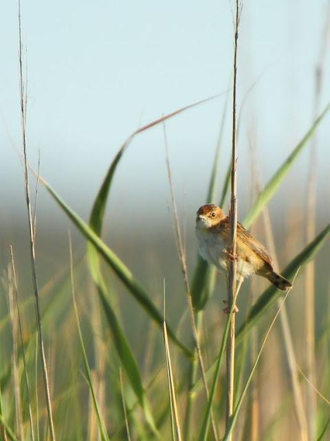 PASEANDO POR LAS BARDENAS REALES DE NAVARRA