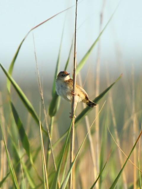 PASEANDO POR LAS BARDENAS REALES DE NAVARRA