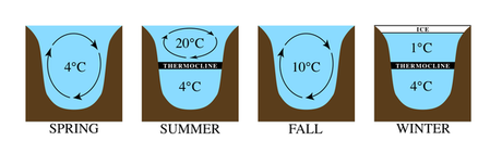Estratificación térmica