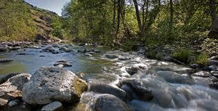 Ecosistemas de agua dulce