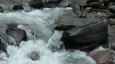 Ecosistemas de agua dulce, los ríos