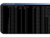 comando muestra pantalla listado procesos están ejecutando sistema.