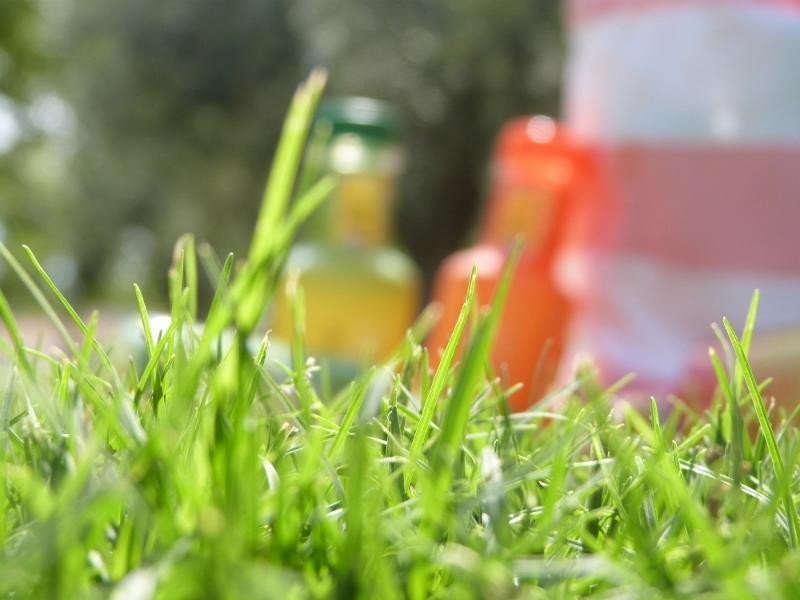 Speed Dating con BISOLÁN