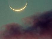 Imprimible Benedetti