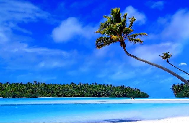 ¡¡¡NOS VAMOS DE VACACIONES!!!