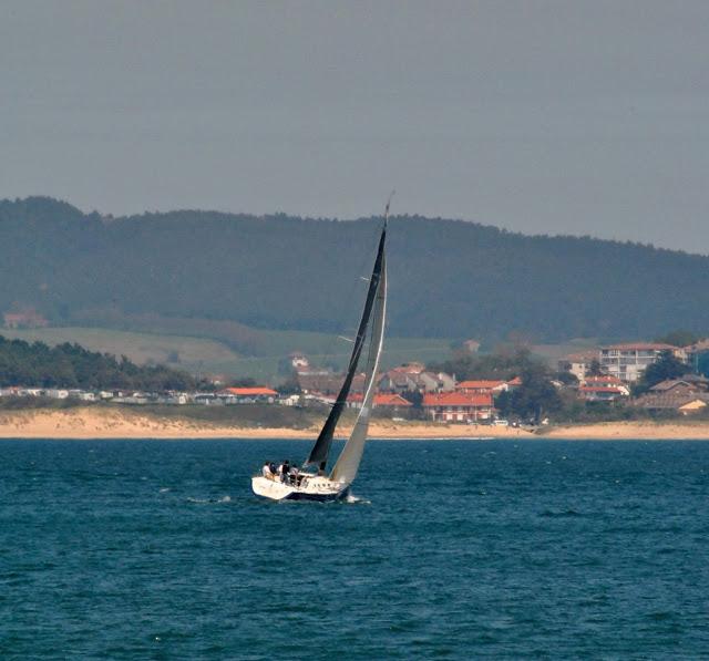 Vela y barcos