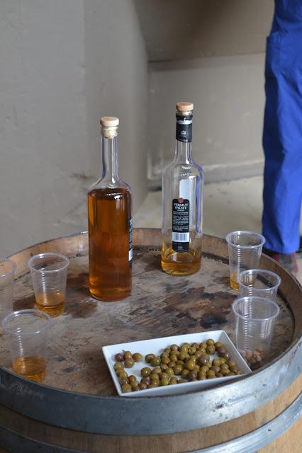 Cooperativa Falset – Marçà, una visita divertidamente didáctica