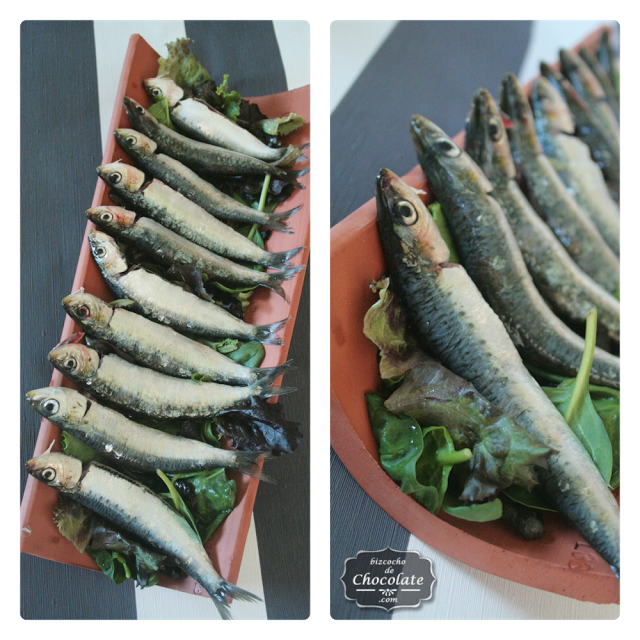 sardinas en teja