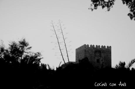  photo _DSC3651-2_zps0f3e2c23.jpg