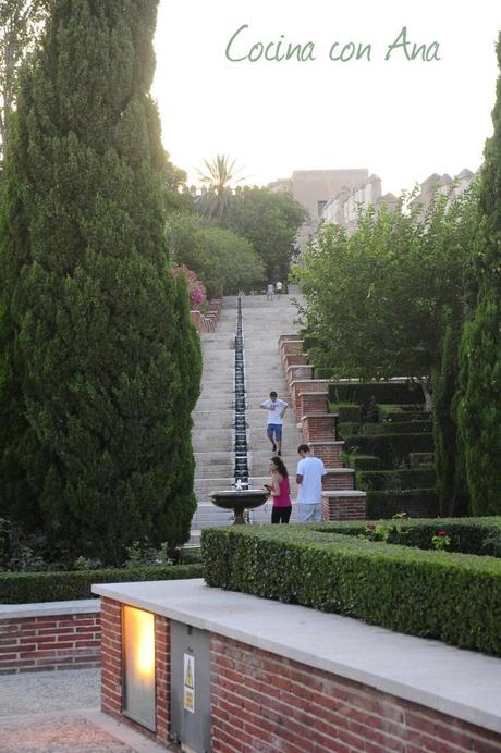  photo _DSC3639-6_zpsa57fde83.jpg