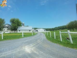 Día 13 (II): Los Amish de Lancaster