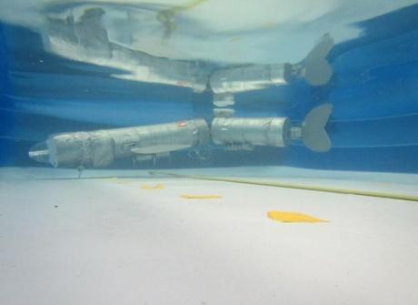 Nuevo robot acuático inspirado en las carpas Nuevo robot acuático inspirado en las carpas
