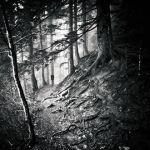 La Turquía en blanco y negro de Mustafa Dedeoğlu