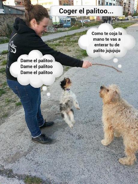 Estamos tan Agustito VII. El Palito... estamos tan agustito