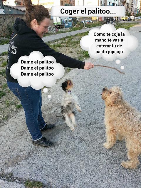 estamos tan agustito