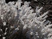 Reserva Nacional Laguna Brava espectacular marco paisajístico Cordillera Andes.