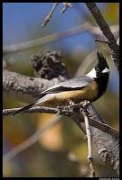 Los 10 artículos más leídos en el mes de Abril 2013.