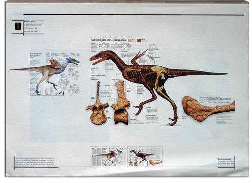 dinosaurios patagonia2