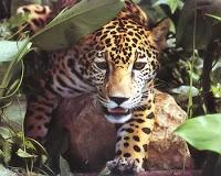 Los 10 artículos más leídos en el mes de Marzo 2013.