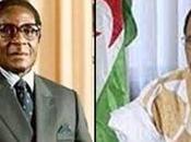 Presidente RASD felicita Robert Mugabe reelección como jefe Estado Zimbabwe