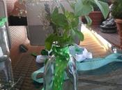 #deco #deblancoyverde