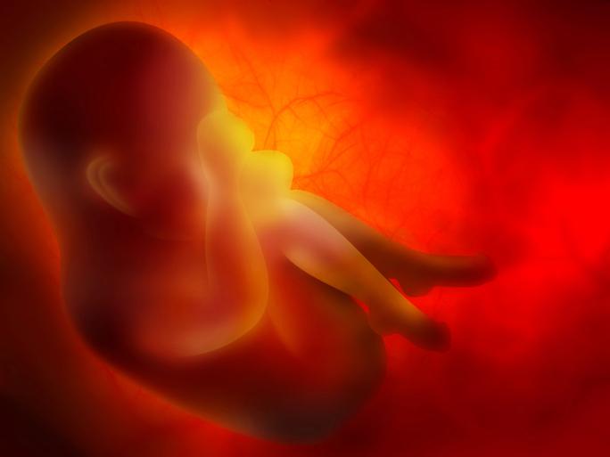 Test prenatal no invasivo diagnostica en sangre materna alteraciones cromosomicas