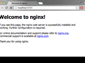 Cómo Instalar Nginx