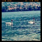 No hay mar… pero siempre quedará bañarse en el lago