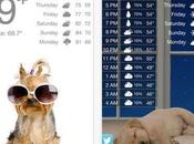 apps móviles clima gustarán tanto amantes perros, como gatos