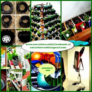 Proyecto de mini huertos ecológicos usando materiales reciclados