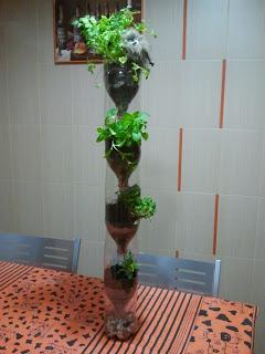 Proyecto de mini huertos ecológicos usando materiales reciclados