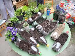 Proyecto de mini huertos ecológicos usando materiales reciclados