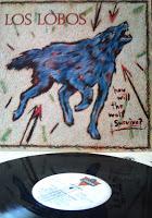 LOS LOBOS: How Will the Wolf Survive?