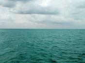 Ecosistemas agua salada, océano