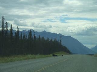 Alaska Highway, by John Lillis
