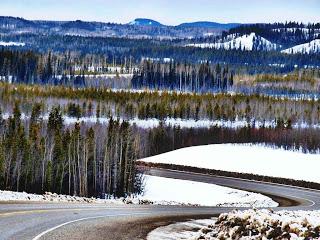 Alaska Highway, by Bruce Mckay