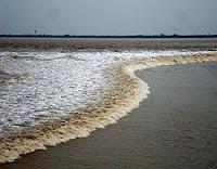 La impresionante ola de marea del río Qiantang