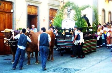 Disfrutar de una Romería Canaria, con fechas de las más populares Animales tirando de las carrozas