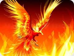 ave fenix