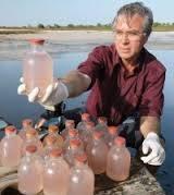 El lago Hillier, donde todo se ve de color de rosa El lago Hillier, donde todo se ve de color de rosa