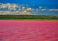 El lago Hillier, donde todo se ve de color de rosa El lago Hillier, donde todo se ve de color de rosa