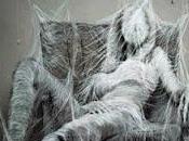 Aracne