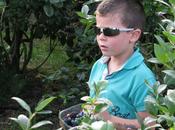 Recolectando frutos Malaín